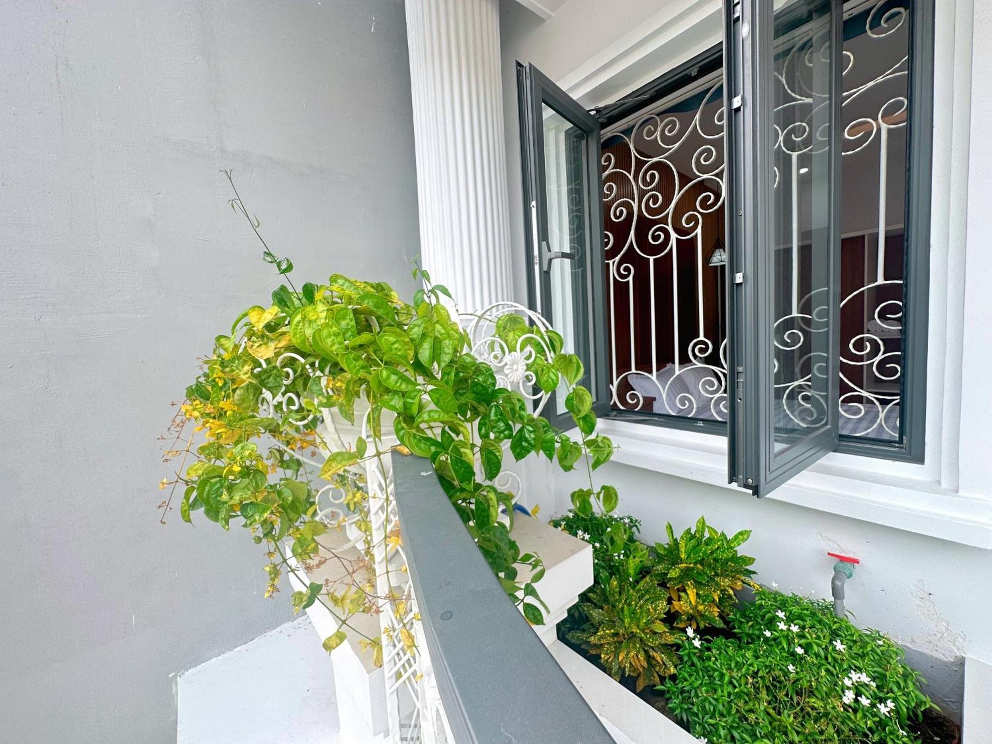 Milan Homestay - Milanesa Hotel And Apartment Vũng Tàu Eksteriør billede